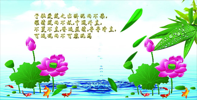 欣赏荷花(图片编号:01253404)_山水风景画_室