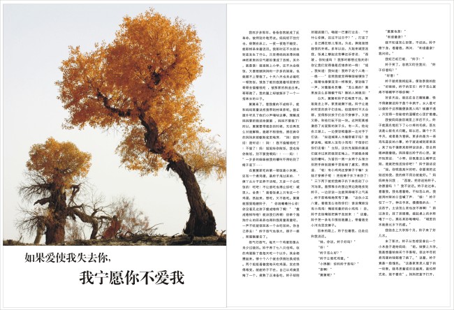 感人的亲情故事