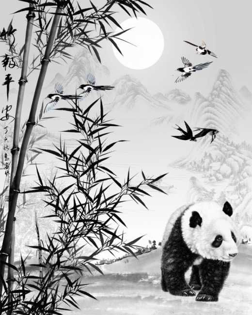 图片 吃 竹子 的 熊猫 和 绿色 蝴蝶 背景 熊猫 吃 ...