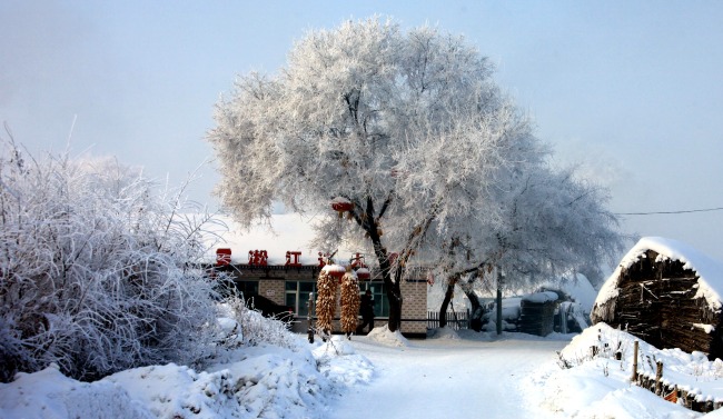 吉林雪乡_雪乡住宿哪家好_哈尔滨雪乡旅游攻