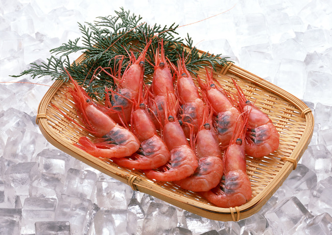 海鲜美食菜谱大全_高档海鲜凉菜菜谱大全_海鲜美食菜谱