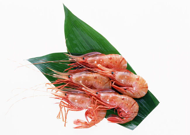 海鲜贝类菜肴_东北年夜饭必备菜肴_海鲜菜肴图片(2)