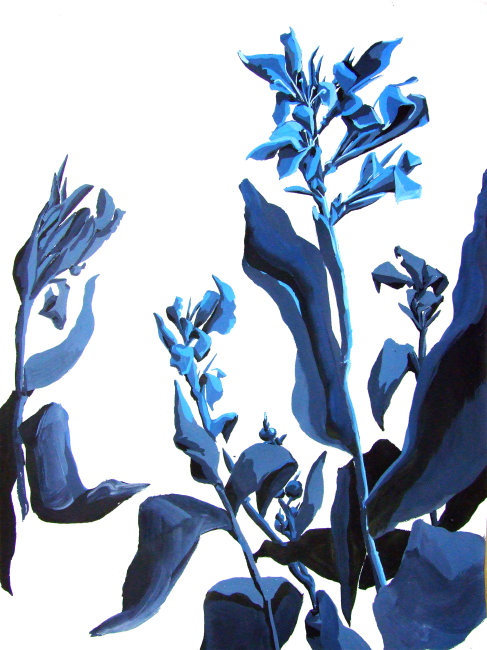 【jpg】植物类装饰色彩 绘画类