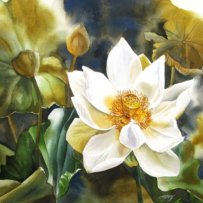 【jpg】白色荷花油画