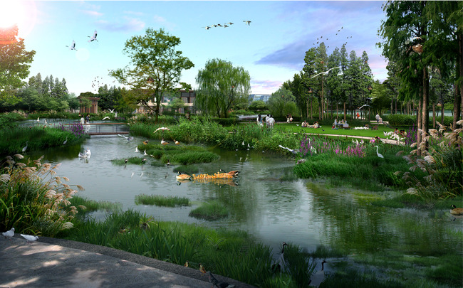 【psd】生态湿地景观设计效果图