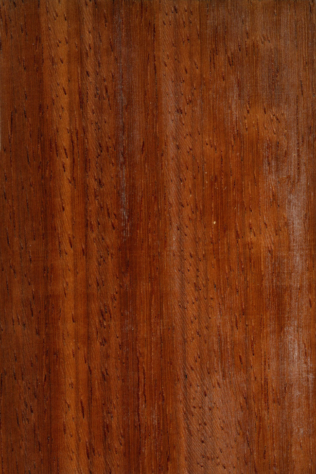 木地板 3d贴图 木材质 木材 地板 木纹素材 说明:紫檀木木纹图贴图