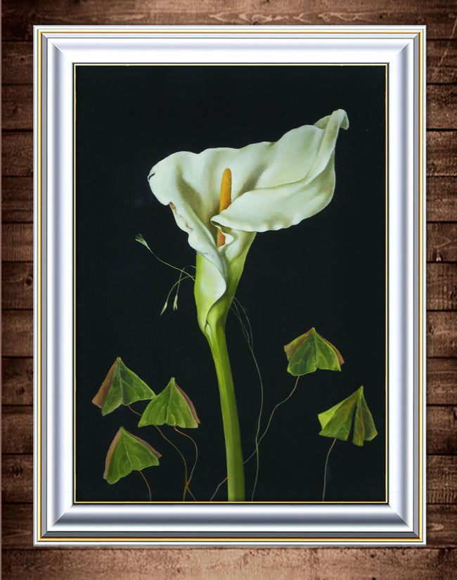 【tif不分层】盛开的白色马蹄莲油画